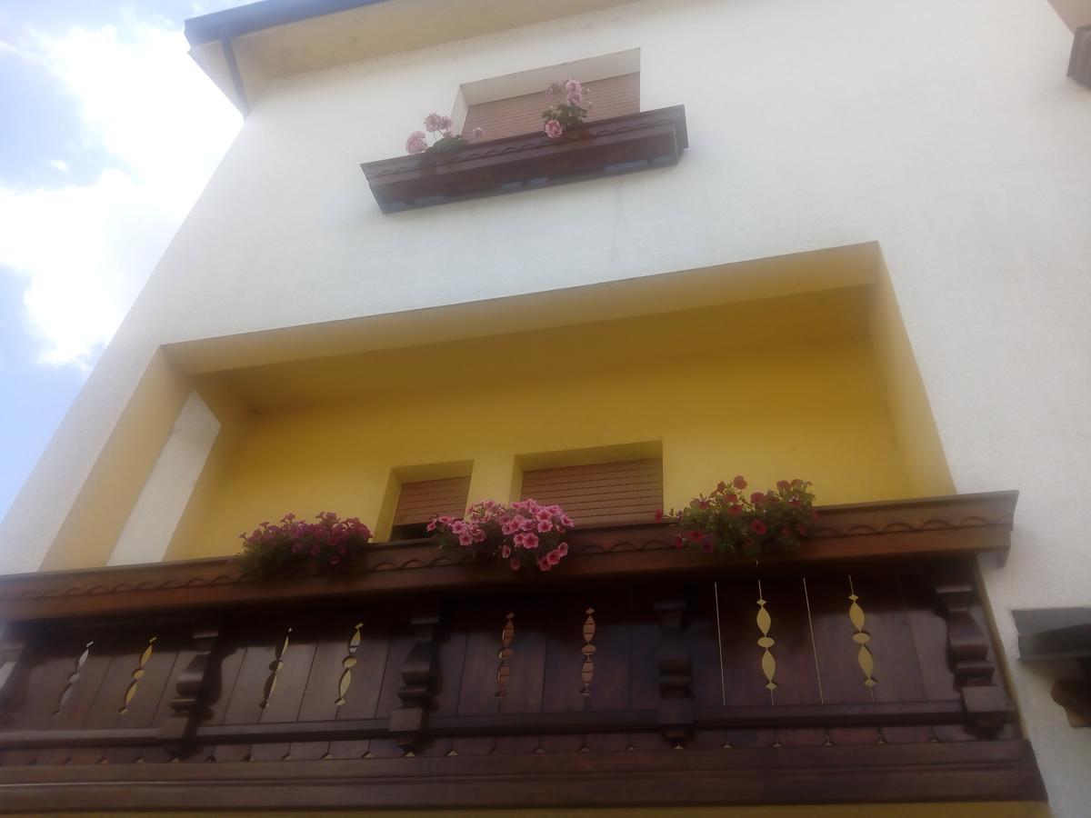 Albergo Alla Pineta Villa Santina Exterior foto